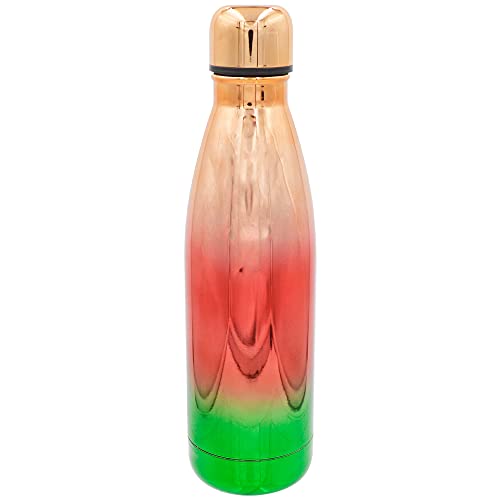 Stainless Steel 16 oz Water Bottles with Leak Proof Lids, Insulated Sweat Proof Sports Water Cup Flask Travel Bottle Keeps Beverage Hot or Cold (OMBRE2)