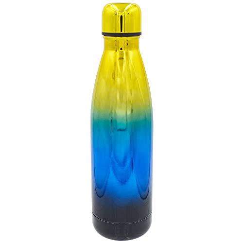 Stainless Steel 16 oz Water Bottles with Leak Proof Lids, Insulated Sweat Proof Sports Water Cup Flask Travel Bottle Keeps Beverage Hot or Cold (OMBRE1)