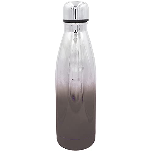 Stainless Steel 16 oz Water Bottles with Leak Proof Lids, Insulated Sweat Proof Sports Water Cup Flask Travel Bottle Keeps Beverage Hot or Cold (OMBRE11)