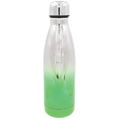 Stainless Steel 16 oz Water Bottles with Leak Proof Lids, Insulated Sweat Proof Sports Water Cup Flask Travel Bottle Keeps Beverage Hot or Cold (OMBRE9)