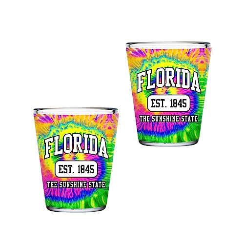 Florida Souvenir Gift Shots Glasses Set of 2 Gift Collectible Idea 2 Oz Shot Glass, Florida Gifts for Him & Her (Florida)